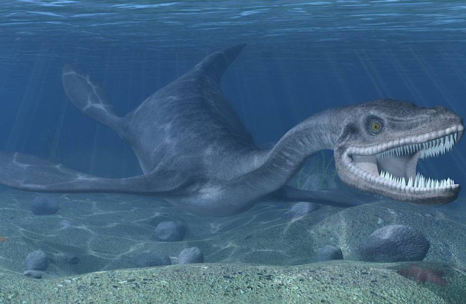 В Британии обнаружили скелет динозавра