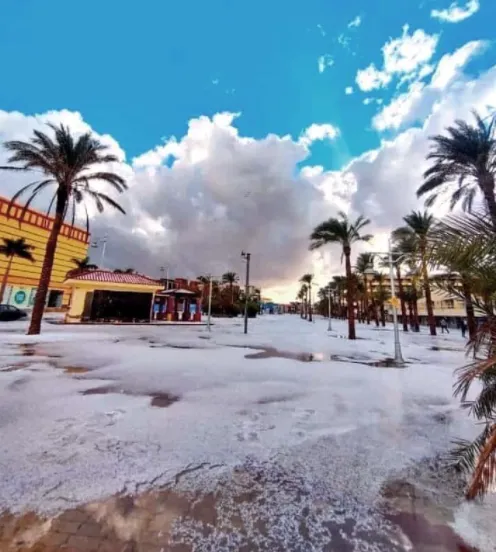 В Египте выпал снег и град: фото, видео