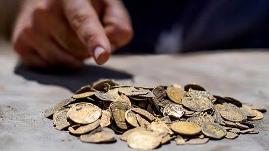 Барсук в Испании раскопал клад с монетами