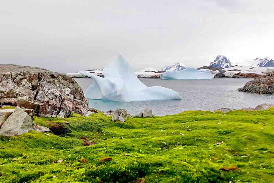 Климатический рекорд: Зимой в Антарктиде +8°С