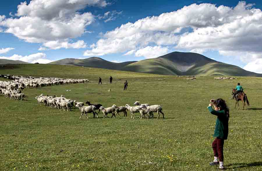 Пастухов Кыргызстана приглашают жить в Италии