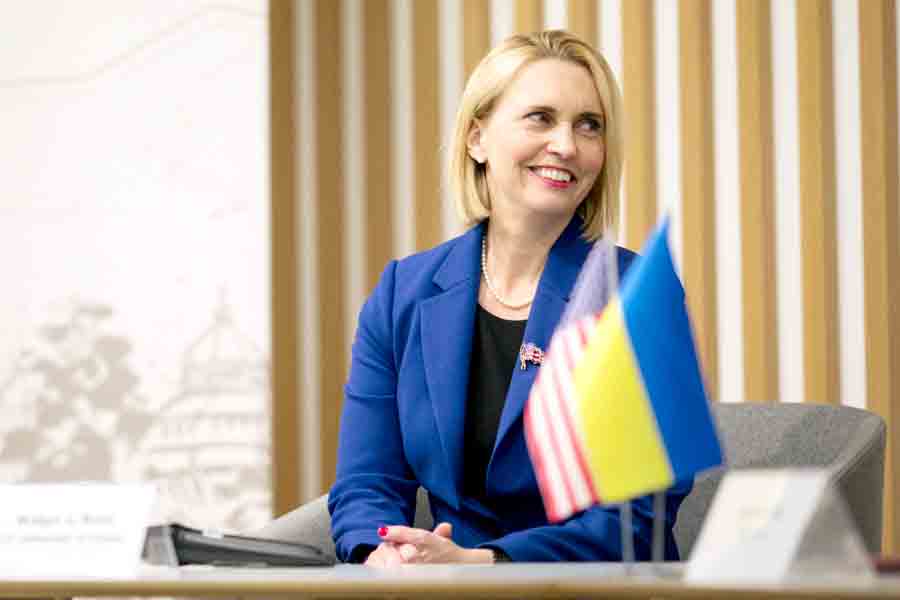 Посол США в Украине о временном зерновом коридоре